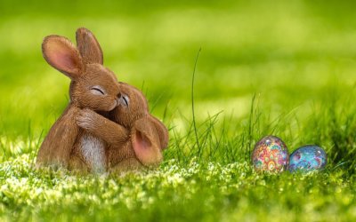 Providing a Safe and Happy Easter for your Pets